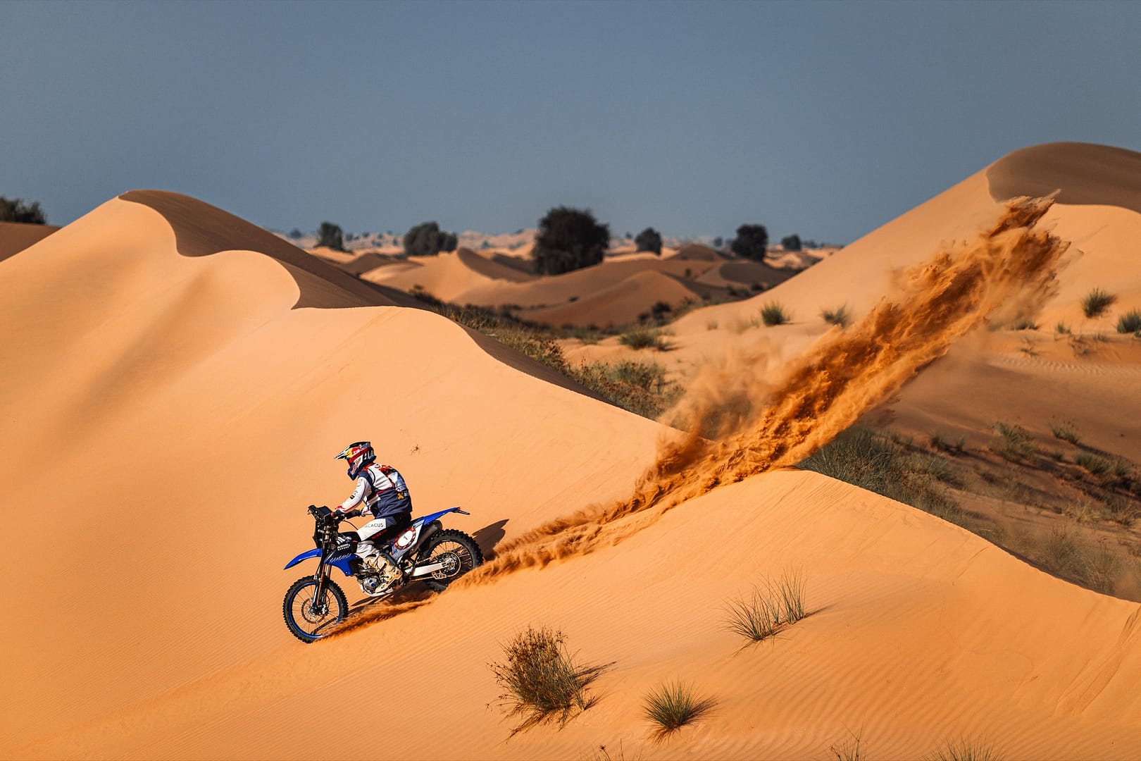 2 Mohammed AL BALOOSHI